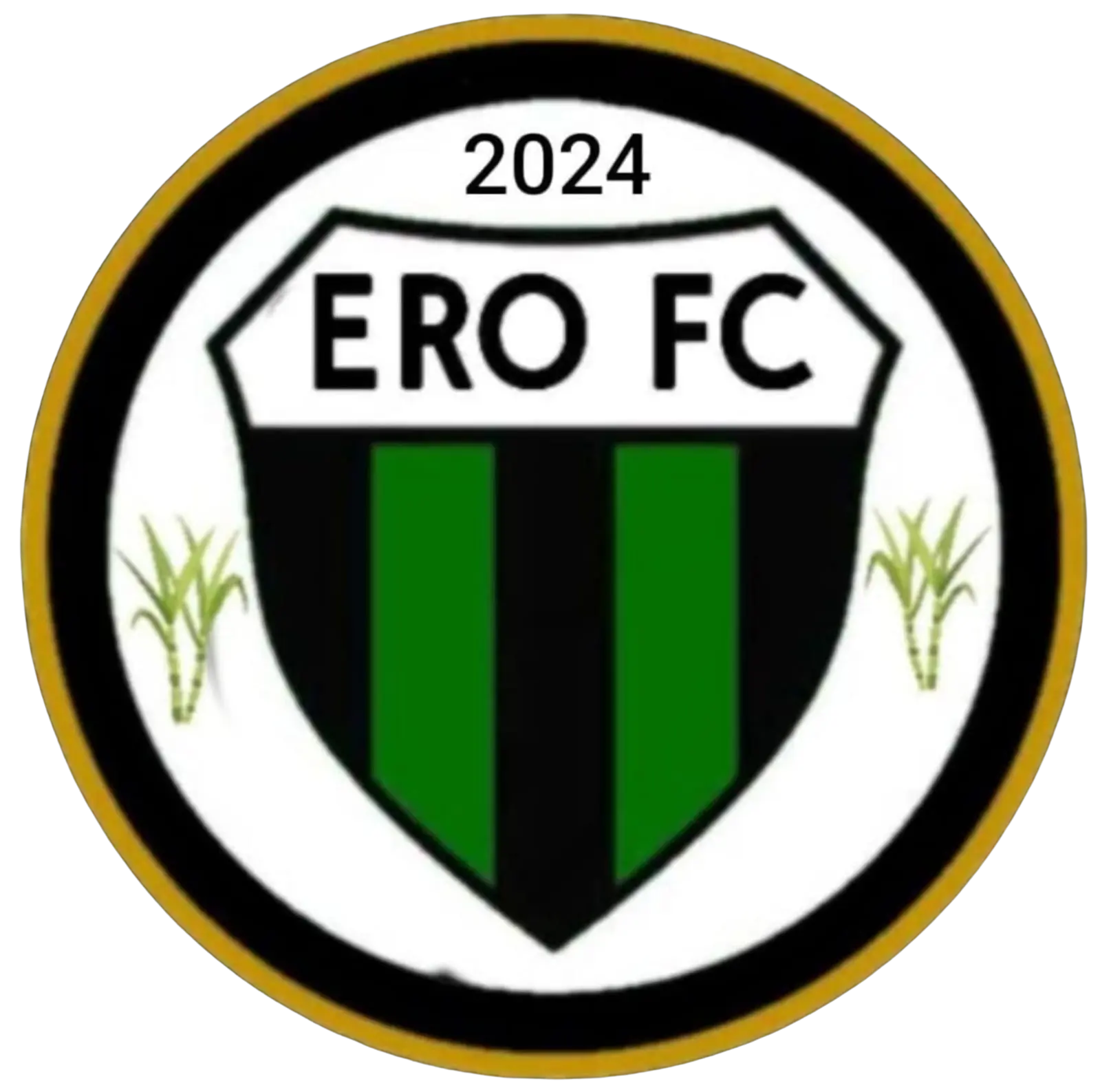 logo Ero F.C.